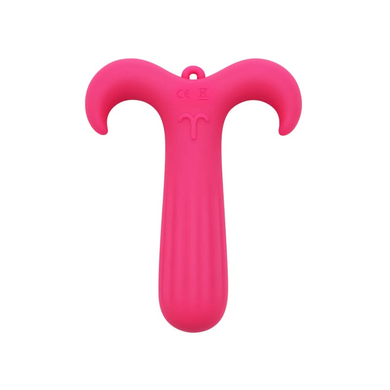 Aries Mini Vibe